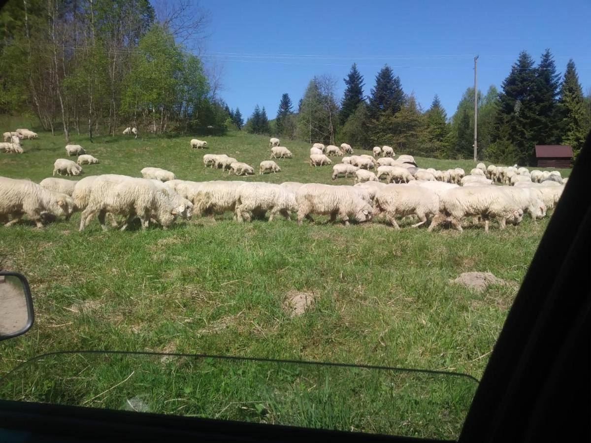 Agroturystyka Boguska Zawoja Extérieur photo